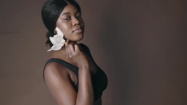 Portretul Tânărului Destul Negru Femeie Lenjerie Corp Care Prezintă Pentru — Videoclip de stoc