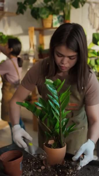 Mittlere Senkrechte Junger Kaukasischer Frauen Die Gartenbau Und Gartenarbeit Während — Stockvideo