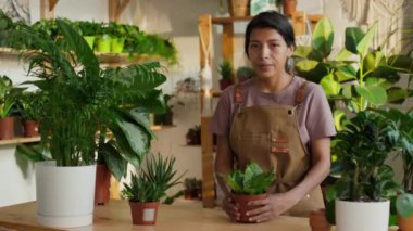 Çevre dostu ot fabrikasında çalışan gülümseyen İspanyol kadının orta boy portresi. Poz veriyor ve kameraya bakıyor. Arka planda güneşli oda.