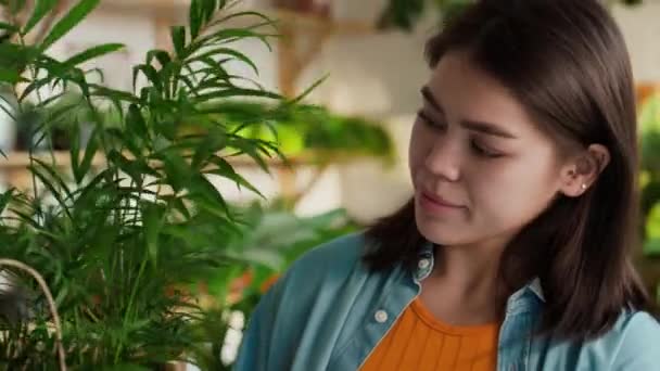 Close Ansigtet Kaukasiske Smilende Ung Kvinde Være Tilfreds Med Hendes – Stock-video