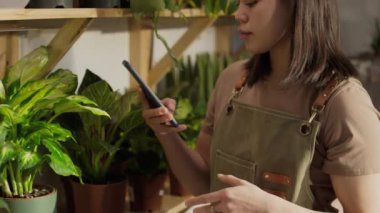 Çevrimiçi atölye için ev bitkilerinin fotoğraf içeriğini oluşturan ve akıllı telefon tutan genç esmer kadın esmer dükkan asistanının yakın çekimi