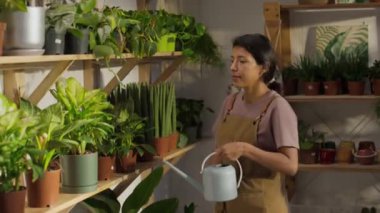 Çevre yeşilliklerinde çalışan, ev bitkilerini sulayan, onları satışa hazırlayan önlüklü İspanyol genç bir kadın.