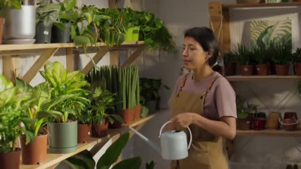 식물에서 앞치마를 히스패닉 여자의 그들을 판매에 준비를 — 비디오