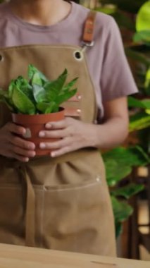 Tezgahta yeşil çiçekle poz veren ve iş günü yeşil bahçe merkezinde kameraya bakan gülümseyen İspanyol kadın çiçekçinin dikey portresi.
