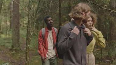 Sırt çantalı bir grup genç erkek yürüyüşçü ormanda birlikte yürüyor, doğanın tadını çıkarıyor ve sohbet ediyorlar.