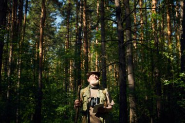 Kafkasyalı kıdemli ekolojist elinde tahta çubuk ve dijital tablet tutarak yaz günü çam ormanında dikilip yukarıya bakıyor.
