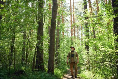 Kafkasyalı son sınıf doğa bilimcisinin elinde defterle ormanda yürüyüp güneşli bir yaz günü ağaçlara baktığı sıra sıra dışı bir sahne.