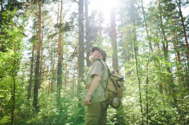 Güneşli yaz gününde çam ormanında dikilip ağaç tepelerine bakarken beyaz tenli son sınıf doğa bilimcisinin yan görüntüsü.