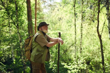 Olgun bir erkek yolcunun tahta sopayla rahatça durup yaz gününü ormanda geçirmesinin yan görüntüsü.