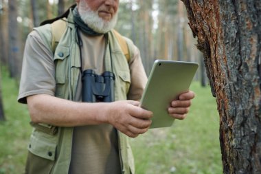 Çevre bilimci ya da botanikçi olarak çalışan sakallı bir adam dijital tablet kamerayla ağaç kabuğunun fotoğrafını çekiyor.