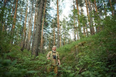 Wide shot of senior Caucasian traveler hiking in picturesque mountain forest on summer day, copy space clipart