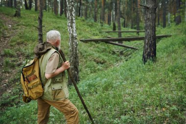 Orta uzunlukta, tanınmayan yaşlı turistin sırt çantasıyla ormanda tahta sopayla yürüyüp, uzayı kopyaladığı bir fotoğraf.