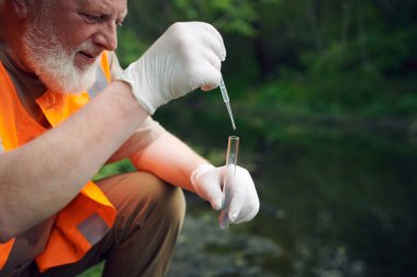 Medium closeup of bearded mature ecologist using pipette and test tube to take water sample from river clipart