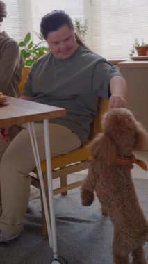 Down sendromlu bir kızın evdeki mutfak masasında oturup tatlı kaniş köpeğini şekerlerle beslerken dikey pozu.