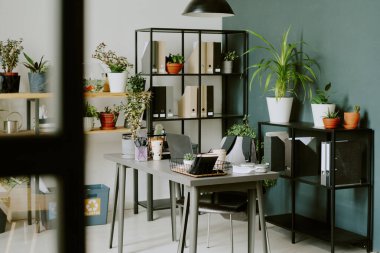 Hiç kimse modern biyofilik ofis içinde dizüstü bilgisayarla, ofis malzemeleriyle, raflarda ve masalarda saksılarda çeşitli ev bitkileriyle çekim yapmaz.