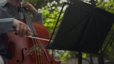 Genç ve ilham verici bayan müzisyen, parktaki açık hava konserinde müzik ve çello çalarak ayakta duruyor.