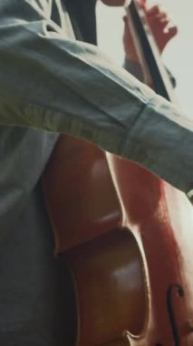 Güneşli bir günde parkta çello çalışırkenki gündelik kıyafetleriyle genç bayan müzisyenin dikey zoom görüntüsü.