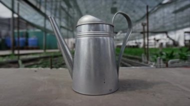 Seradaki ahşap masadaki metal sulama kutusunun yakın plan görüntüsü. Arka planda bitki yatakları var.