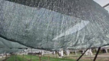 Gölge kumaşının yakın görüntüsü seranın içinde rüzgarda savrulan güneş ışığından bitkilere koruma sağlar.