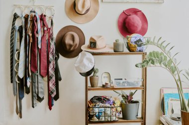 Dekorasyon malzemeleri, bitkiler ve aksesuarlarla birlikte minimalist rafların yanındaki duvara asılmış askılarda çeşitli şapka ve kravatları sergileyen yaratıcı bir organizasyon.