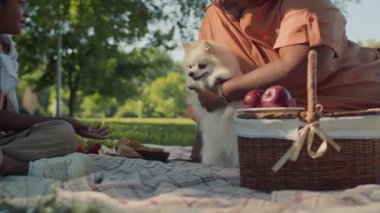 Yaşlı Afrikalı Amerikalı kadının yeşil parkta piknik yapıp torunuyla oynaması ve küçük tüylü evcil köpekle yemeğini paylaşması.