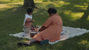 Tanımlanamayan yaşlı Afrikalı Amerikalı kadının torunuyla parkta vakit geçirmesi, hafta sonları çimenlerde piknik yapması.
