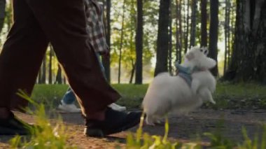 Tanınmayacak haldeki siyah kadın ve küçük çocuğun orta boy bacakları güneşli bir yaz gününde ormanda rahatça dolaşırken tüylü beyaz köpeğe tasma takıyor.