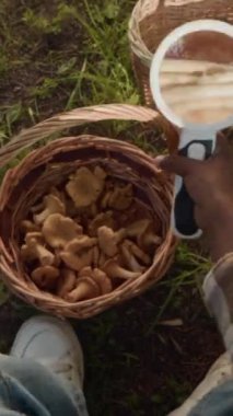 Ormanda sıcak ve güneşli bir sonbahar gününde hasır sepetlere yeni toplanmış mantarları keşfeden kimliği belirsiz siyahi çocuğun dikey yakın çekimi.