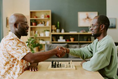 Evdeki oturma odasında satranç oynamadan önce el sıkışan iki Afrikalı Amerikalı kardeşin yan görüntüsü.