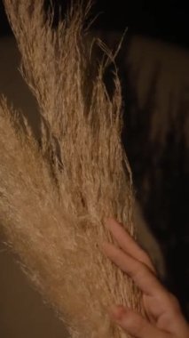 Bilinmeyen kadının dikey yakın plan görüntüsü. Uzun kurumuş otları loş ışıkta uzatıyor.