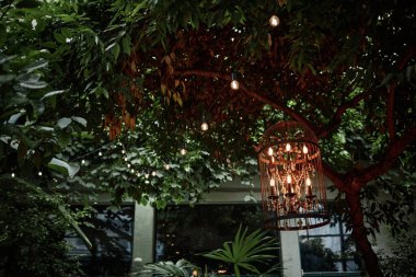 Eko Kafe 'deki ağaçların dallarındaki klasik ışıkların düşük açılı görüntüsü.