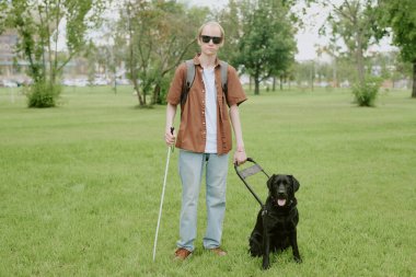 Yazın yeşil parkta bastonlu ve siyah Labrador 'lu kör adamın portresi.