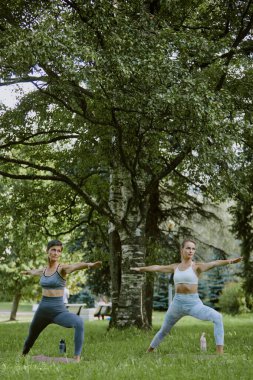 Parktaki yoga sırasında anne ve kızının savaşçı pozunda durduğu dikey çekim ellerinde su şişeleriyle minderlerin üzerinde duruyorlardı.