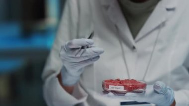 Tanınmayan yemek bilimcilerinin eldivenli ellerini yakından inceleyin. Laboratuvarda yetişmiş soya etini inceletmek için cımbız kullanın. Sonra da masadaki dizüstü bilgisayarda daktilo kullanın.