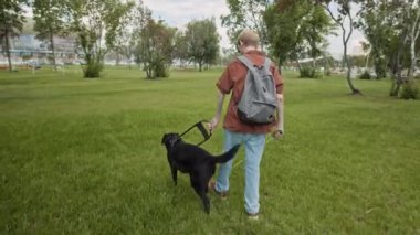 Siyah labrador av köpeğiyle yeşil parkta yürüyen bastonlu ve sırt çantalı kör bir adamın arka görüntüsü.