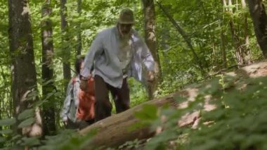 Değişik olgun çiftlerin vahşi, sakin ormanlarda yürümeleri düşük açılı bir bakış açısı.