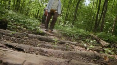 Orman parkında yürüyen iki yetişkin turistin düşük açılı görüntüsü.