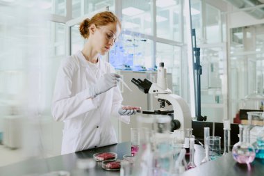 Modern laboratuvarda deney tüpleri ve mikroskop ile çevrili gelişmiş ekipmanlarla araştırma yapan bilim adamları petri kablarındaki sıvıları içeren deneylere odaklandılar.
