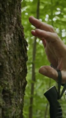 Ormanda yürürken ağaçlara dokunan isimsiz turistlerin dikey görüntüleri