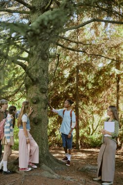 Vertical wide shot of teenagers touching old tree trunk during educational tour in botanical garden, copy space clipart