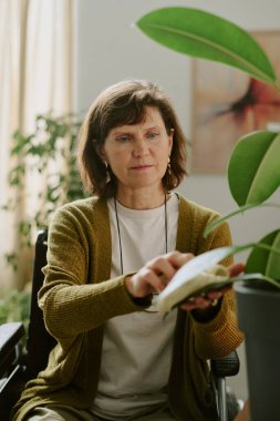 Yaşlı kadın rahat bir ev ortamında otururken cihazını kullanıyor. Etrafı bitkilerle çevrili. Pencereden süzülen sıcak güneş ışığı huzurlu bir atmosfer yaratıyor.
