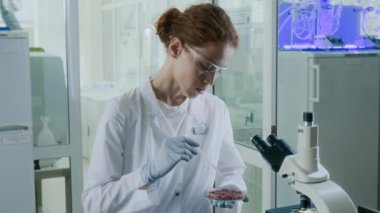 Genç kadın gıda bilimcisinin laboratuvarda petri kabını tutarken kırmızı etin üzerine mor sıvıyı döktüğünü görmek.