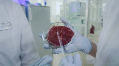 Beyaz önlüklü iki bilim adamının, laboratuvar ortamında yetişmiş kırmızı et parçalarını incelerken görüntüsü.