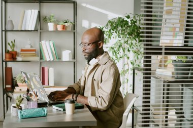 Ciddi bir Afrikalı Amerikalı ofis çalışanı çalışma masasında oturuyor ve IT şirketinin biyofilik ofisinde programlama yapıyor.