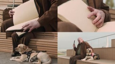 Ekranda görme engelli yaşlı bir adamın ahşap bankta oturup Braille kitabı okuması ve şehirde Labrador rehber köpeğini okşaması.