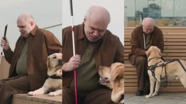 Sokağın ahşap bankında oturan, elinde baston tutan ve Labrador hizmet köpeğini şefkatle okşayan görme engelli yaşlı adamın ekranını ayır.