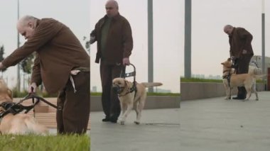 Sokak yürüyüşü sırasında elinde baston tutan ve hizmet köpeğinin yardımıyla yol alan yaşlı kör adamın ekranını ayır