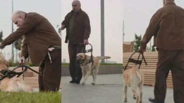 Şehirde koşum takımı ve ağızlık takmış hizmet köpeğiyle yürüyen görme engelli yaşlı bir adamın ekranını ayır.