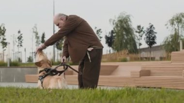 Görme engelli kıdemli bir adam rehber köpeğine ödül veriyor, sonra da şehir caddesinde yürüyor.