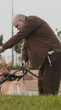 Yaşlı kör bir adamın Labrador rehber köpeğine ödül verirken dikey çekimi, sonra da şehir kaldırımında yürürken.